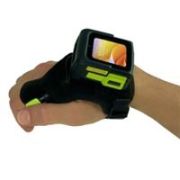 Zebra Back of Hand Mount